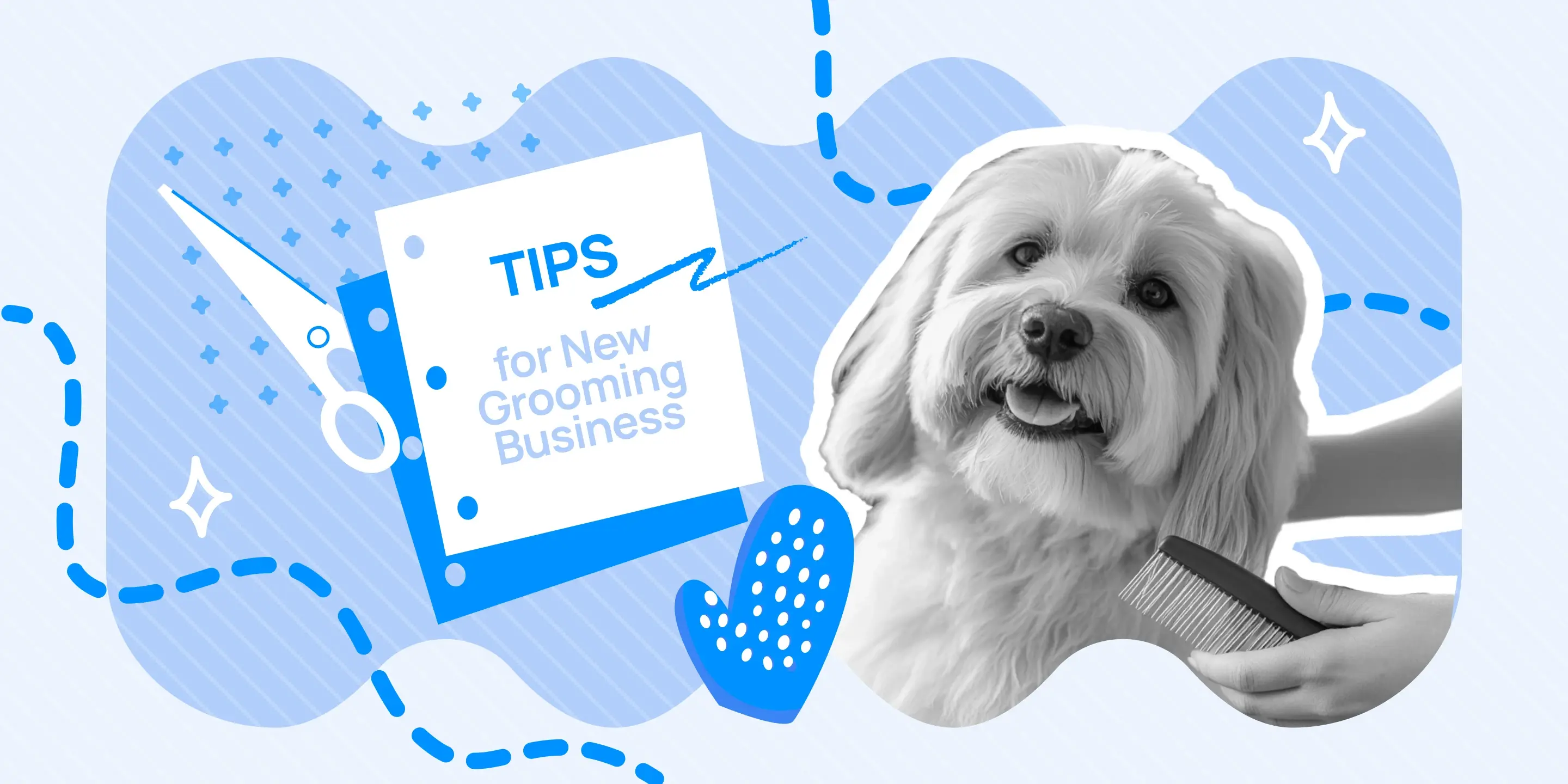 Image showcasing Tips for Starting Your Pet Grooming Business - MoeGo